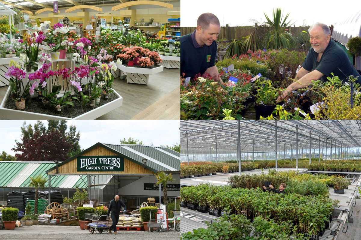 15 of the best garden centres in and around Leeds according to YEP readers